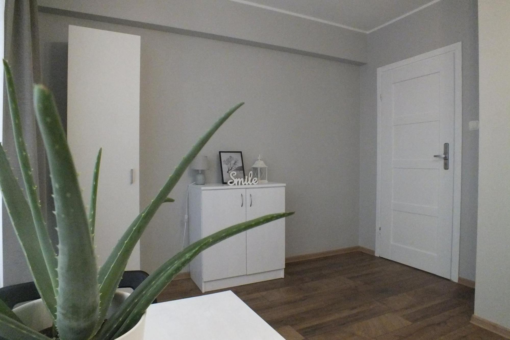 Apartamenty Nila Cracovia Esterno foto